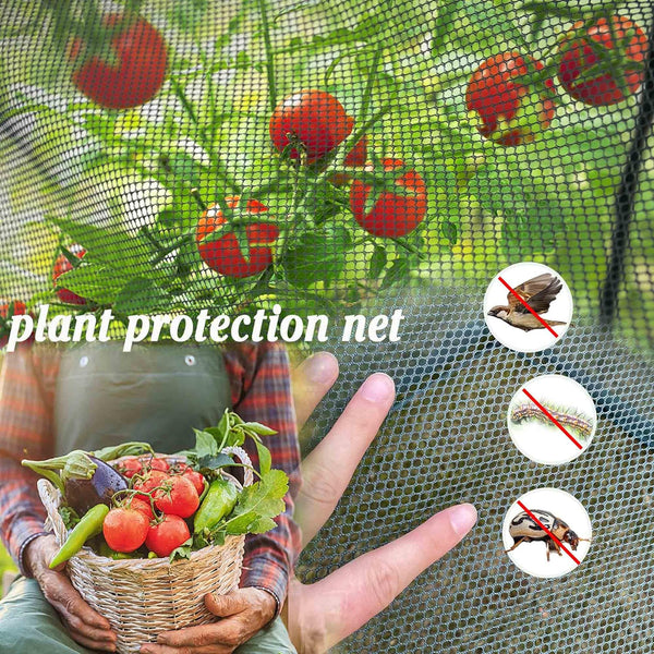 Maze Arch Net Crop Protection Cage – Compact