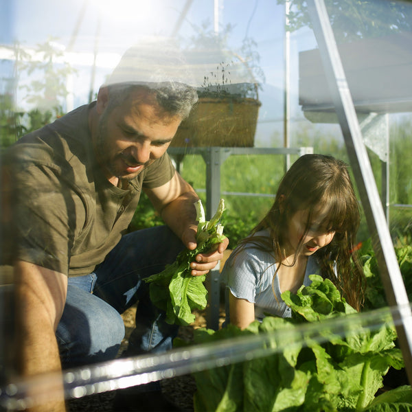 Maze Balance Premium Polycarbonate Greenhouse 10' x 20' - Silver Frame