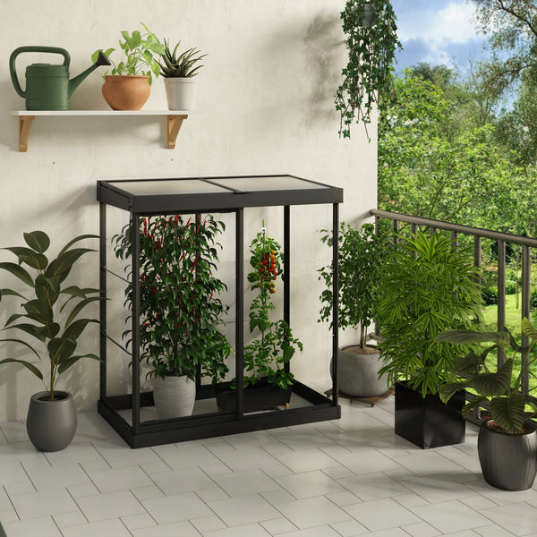 Maze Ivy Premium Polycarbonate Mini Greenhouse 4′ X 2′ – Black Frame