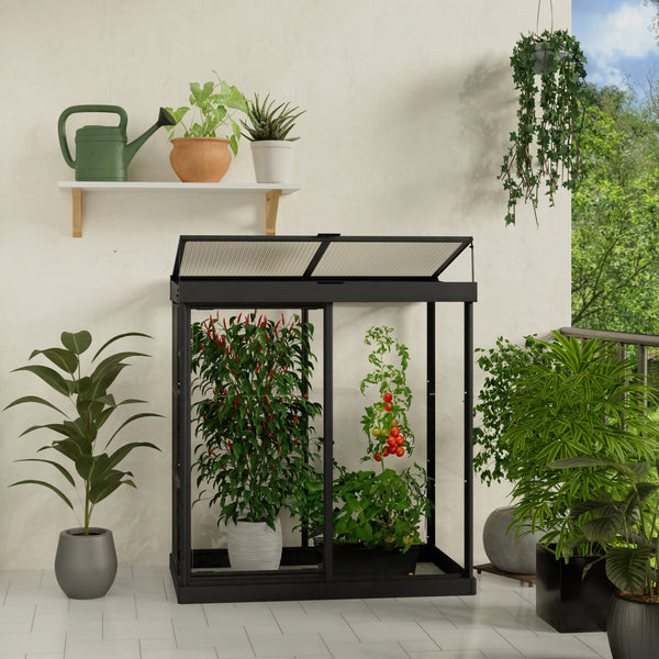 Maze Ivy Premium Polycarbonate Mini Greenhouse 4′ X 2′ – Black Frame