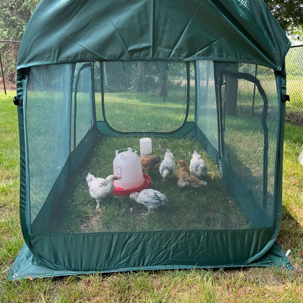 Maze Pop Up Portable Chicken Run Coop - Green