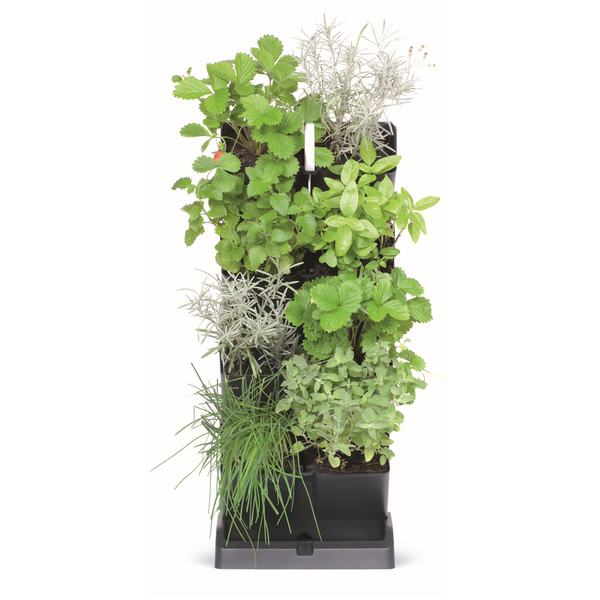 Maze Vertical Garden Mini Cascade